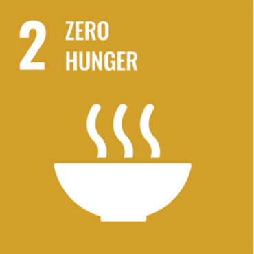 sdgs 2